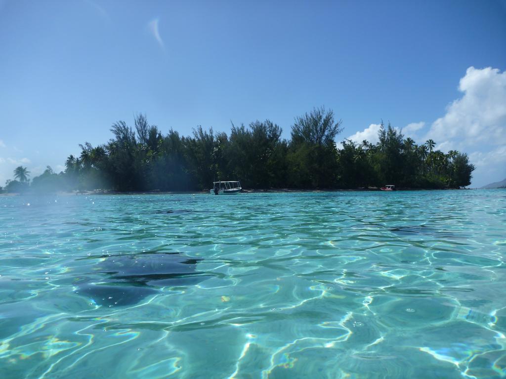 Fare Vaihere Moorea Bagian luar foto